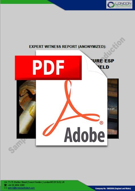 LPE_Track_Record_Sample_Expert_Report